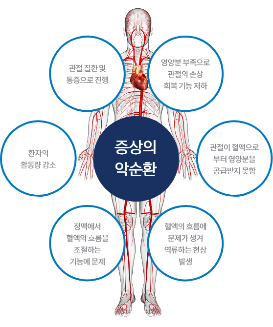 대표 증상